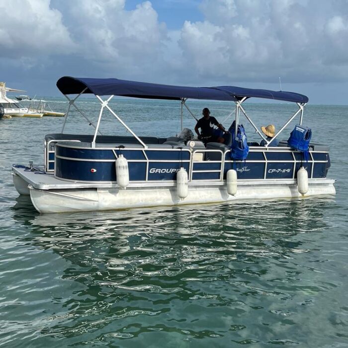 WhatsApp Image 2023-11-13 at 11.22.44 AM