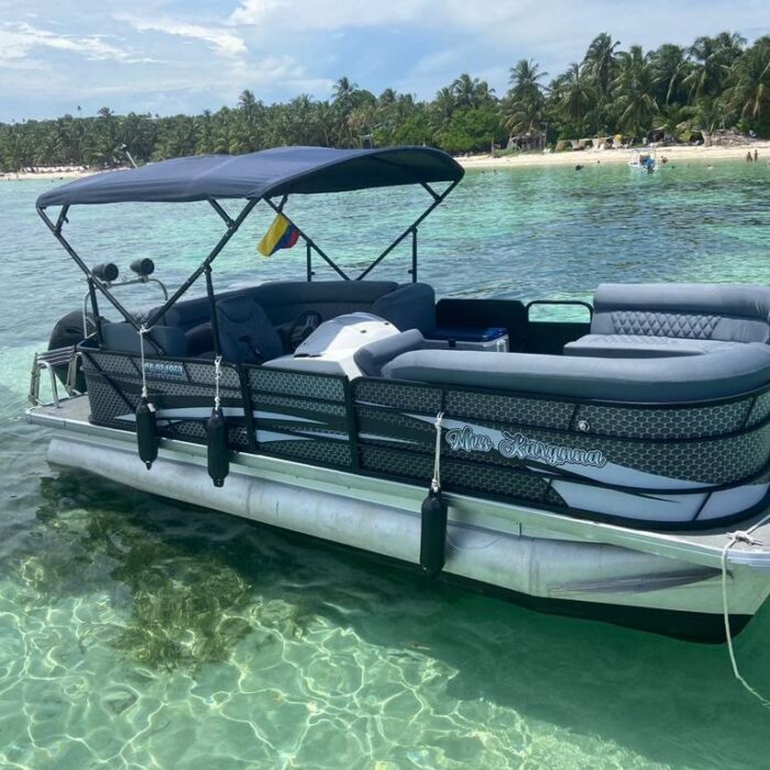 WhatsApp Image 2023-11-13 at 11.29.01 AM